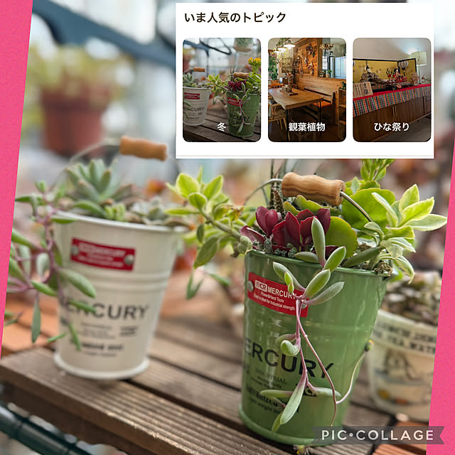 Aqettyさんの実例写真