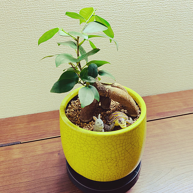 s_homeさんの実例写真