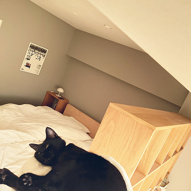 Blackcatさんの実例写真