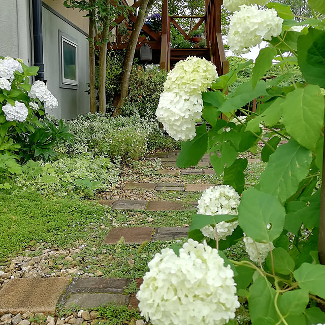 ai.happyplaceさんの実例写真