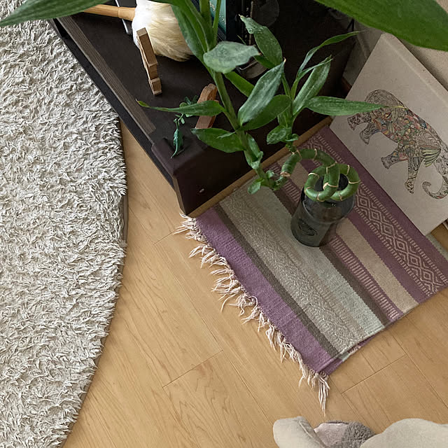aiaiさんの部屋