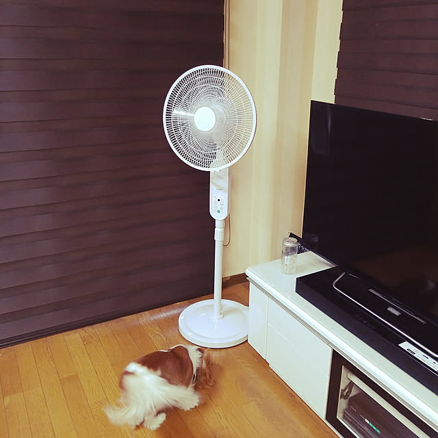 mintさんの実例写真