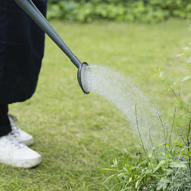 Royal_Gardeners_Clubさんの部屋