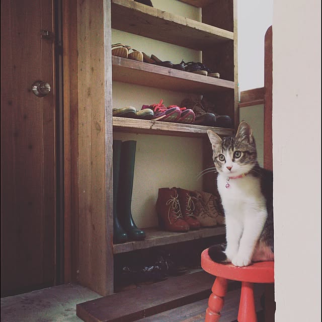 mayunjyoさんの実例写真