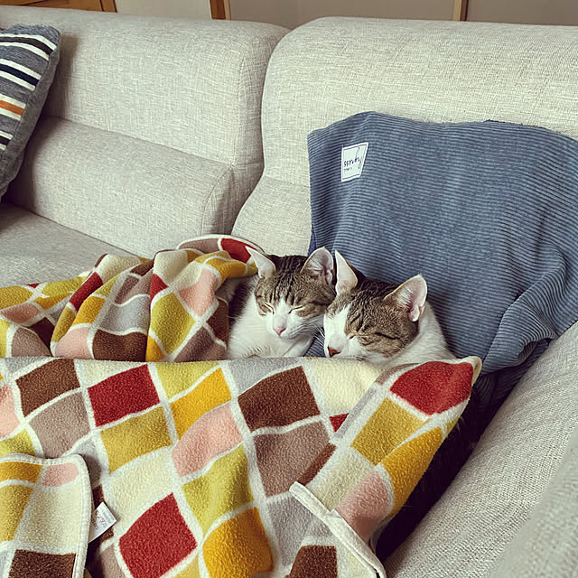 Lufuさんの実例写真