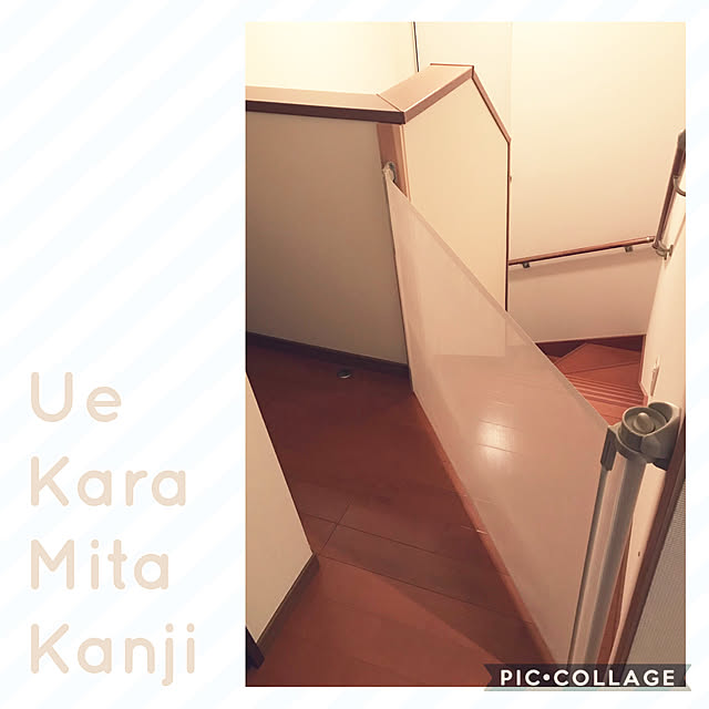 mui.ponchiさんの実例写真