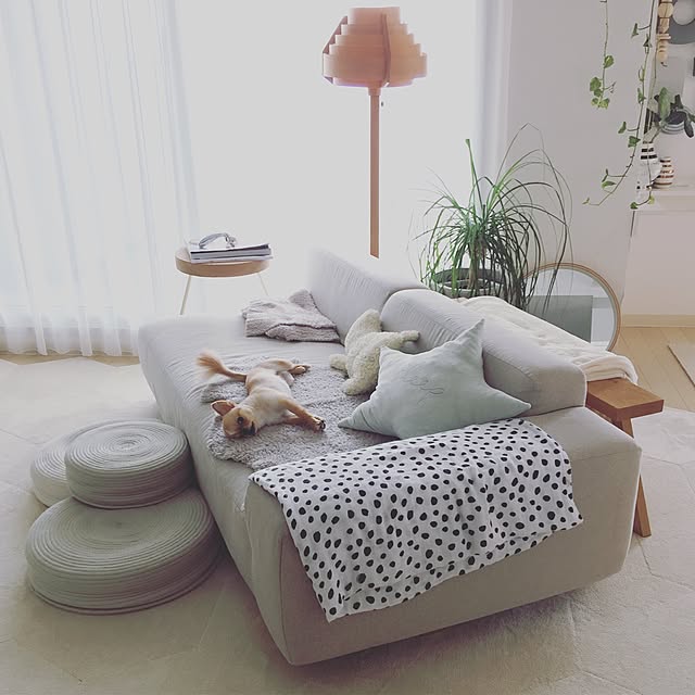 haruhinaさんの実例写真
