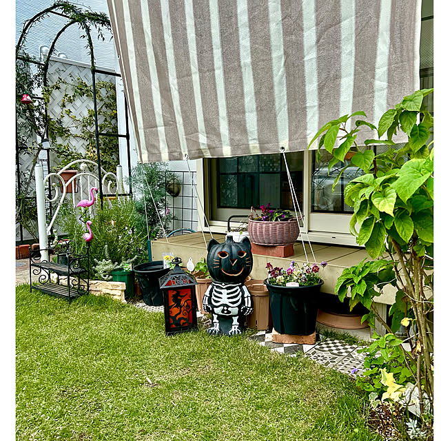 kittyさんの実例写真