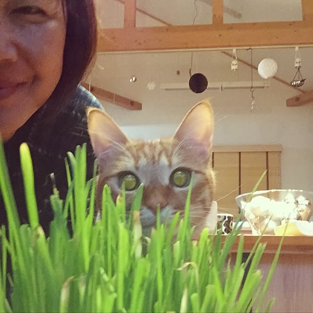 hanaさんの実例写真