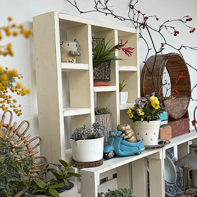 棚/ミモザの花/スクーターに乗るカバさん/カバさん♪/アニマルモチーフ...などのインテリア実例 - 2026-03-07 20:44:40