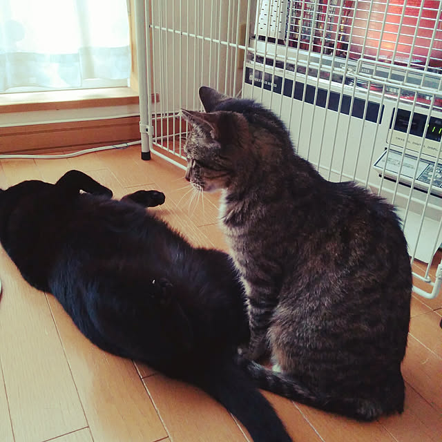 mametarouさんの実例写真