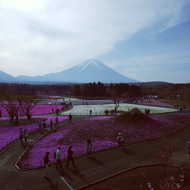 実例写真