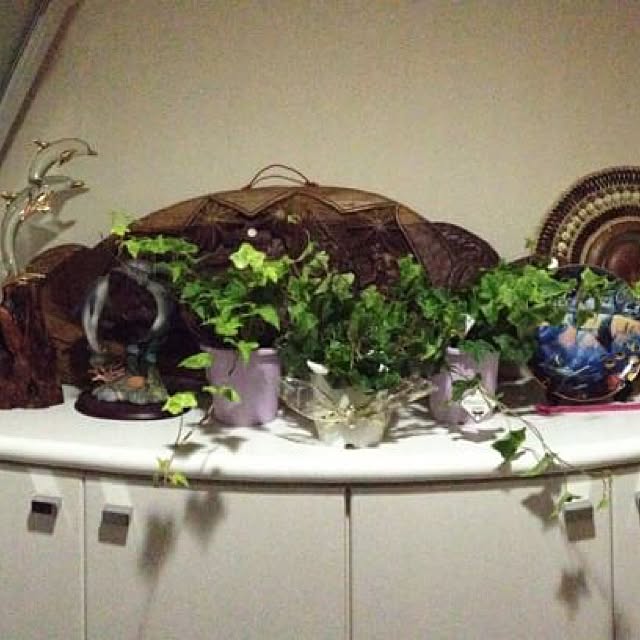 hidemomさんの実例写真