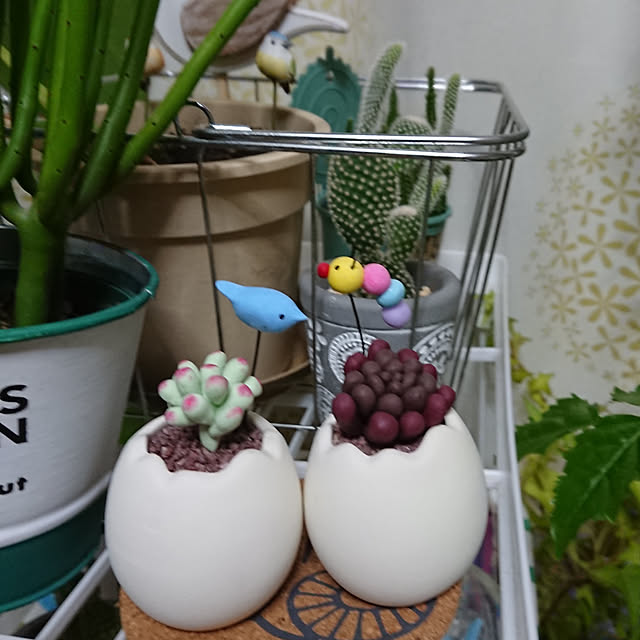 kogumaさんの実例写真