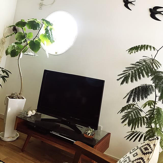 MiRiderさんの実例写真