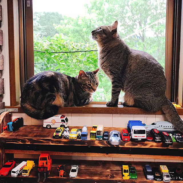 pepeさんの実例写真