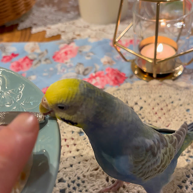 Atsukoさんの部屋