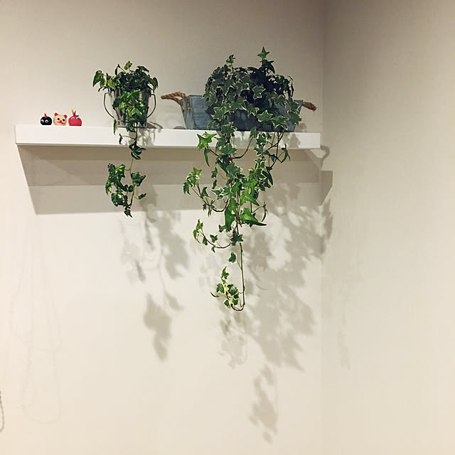 seiさんの実例写真