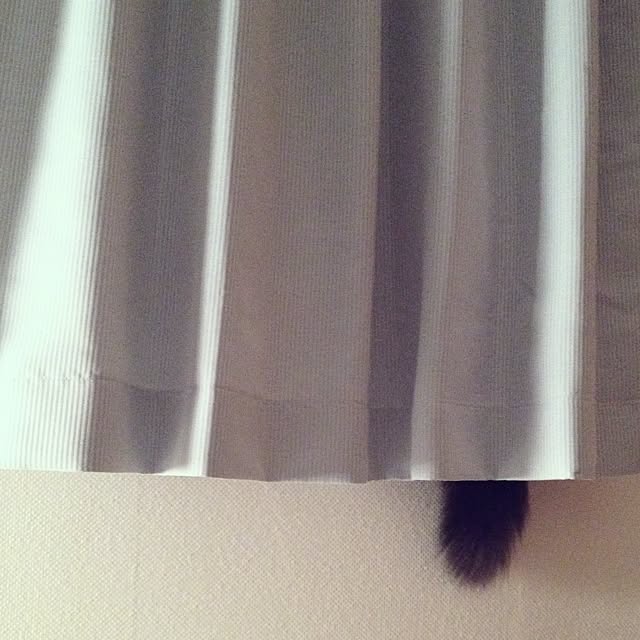fun-gattさんの実例写真