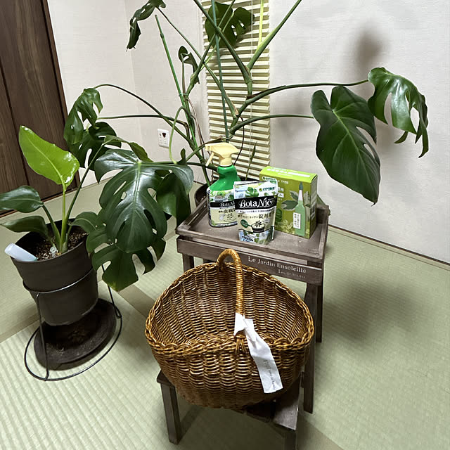 yunyumさんの実例写真