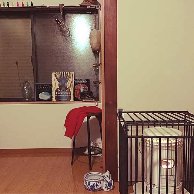 Aiさんの実例写真