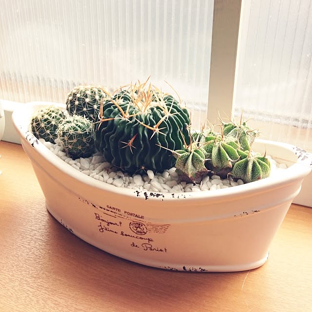 miii777さんの実例写真
