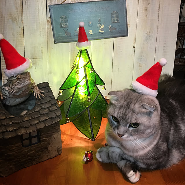 Kumiko_nyanさんの実例写真