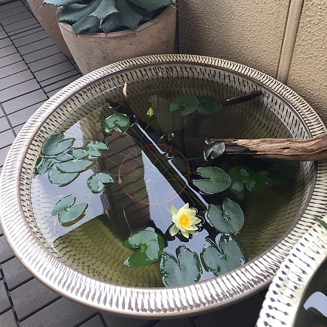 uzuさんの実例写真