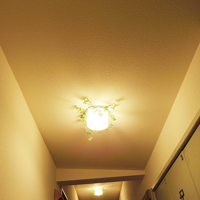 burubonさんの実例写真