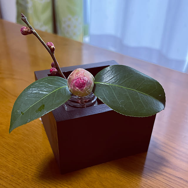 miyakoさんの部屋