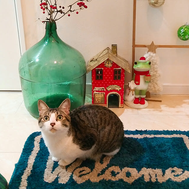 Gomaさんの実例写真