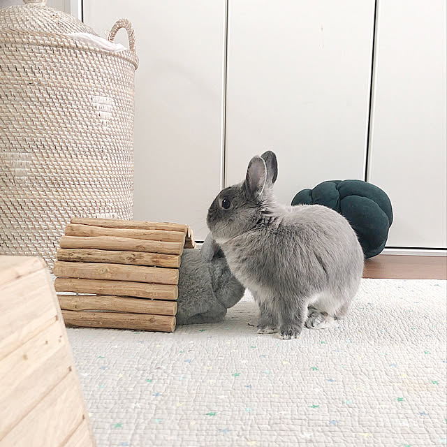 sippoさんの実例写真