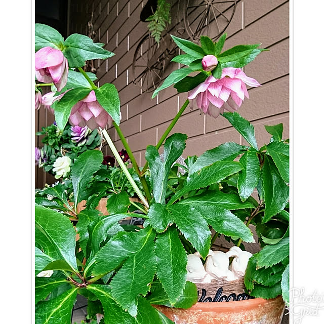 MARONさんの実例写真