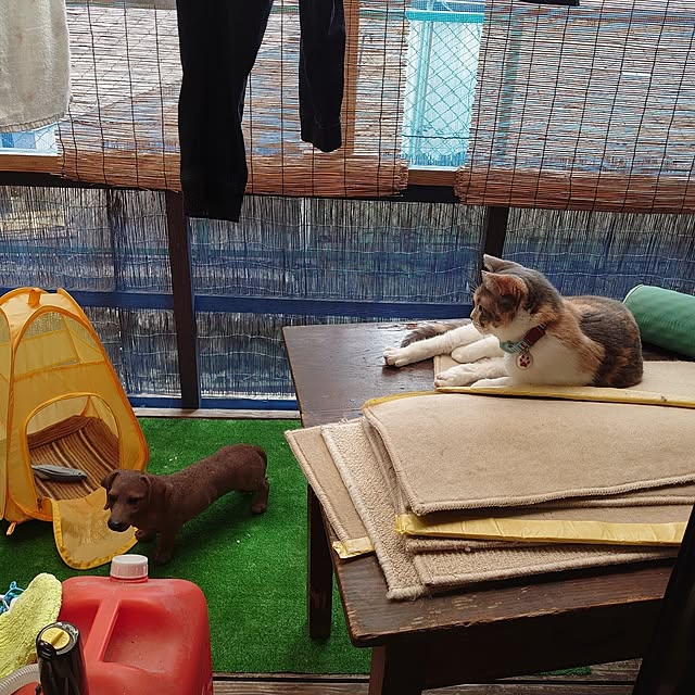 fukuさんの実例写真