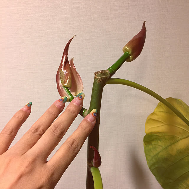 HKSさんの実例写真