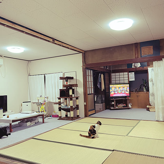chiaki55.Oさんの実例写真