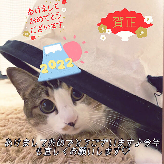 nekomiさんの実例写真