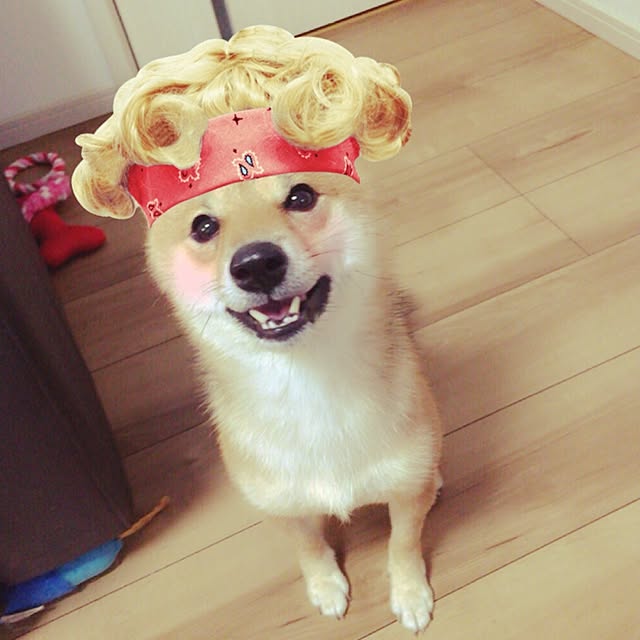 hanakoさんの実例写真