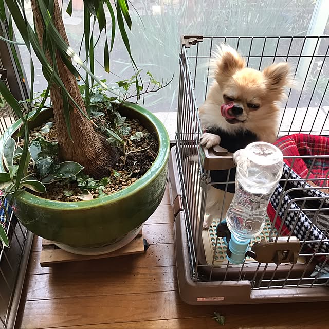 chobiさんの実例写真