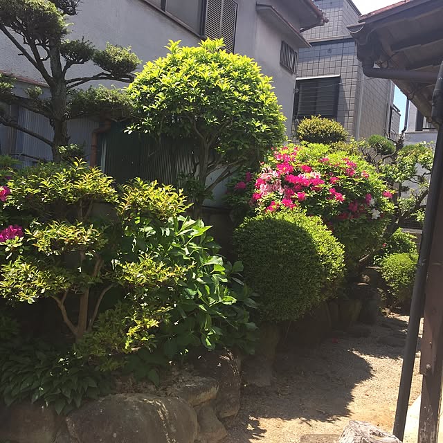 limegreenさんの実例写真