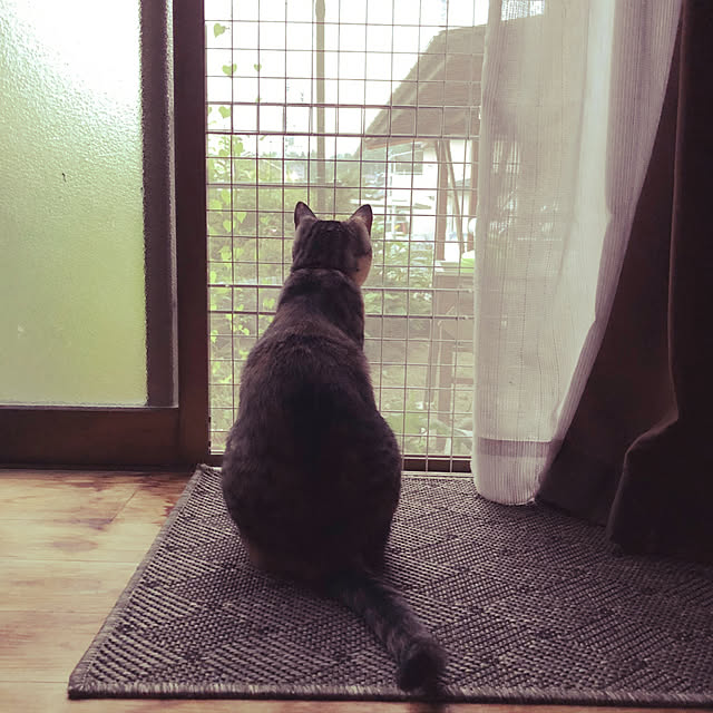 mantaさんの実例写真