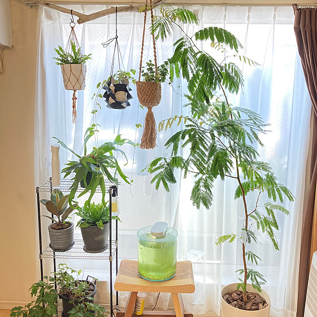 okkunさんの部屋
