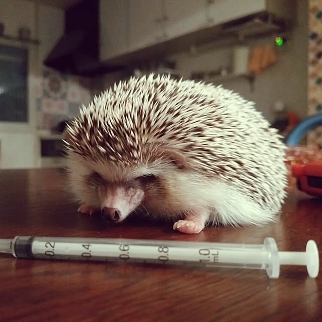 kuruさんの実例写真