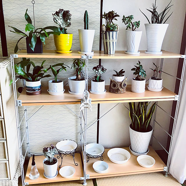 hanachanさんの部屋