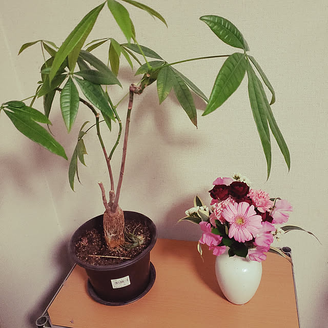 makinokoさんの実例写真