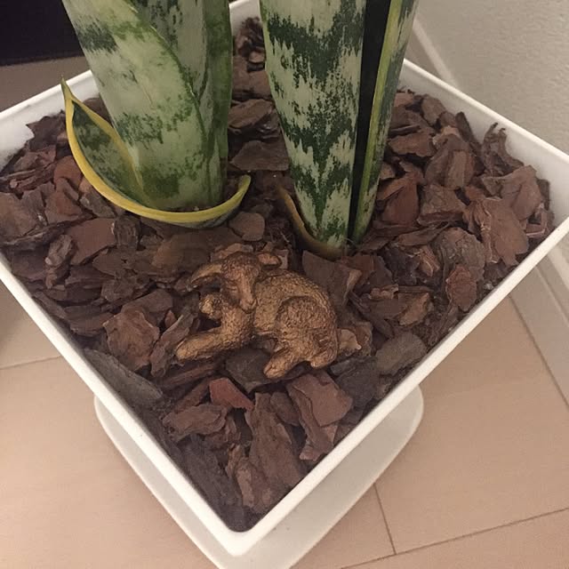 fraiseさんの実例写真