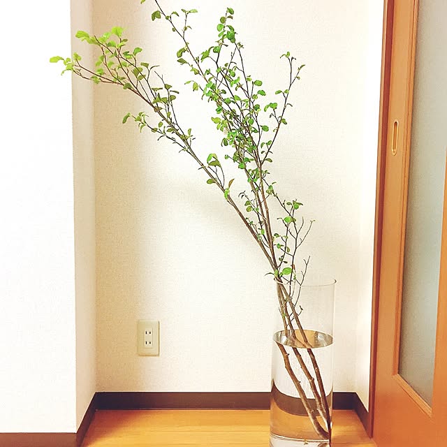 Marikaさんの実例写真