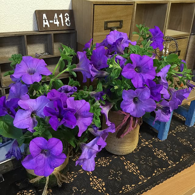 aym0418さんの実例写真