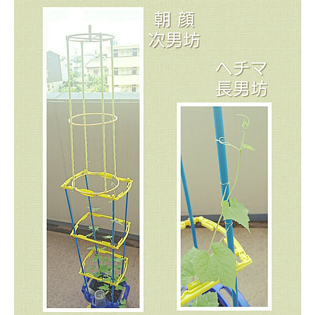 ToReTaRiさんの実例写真