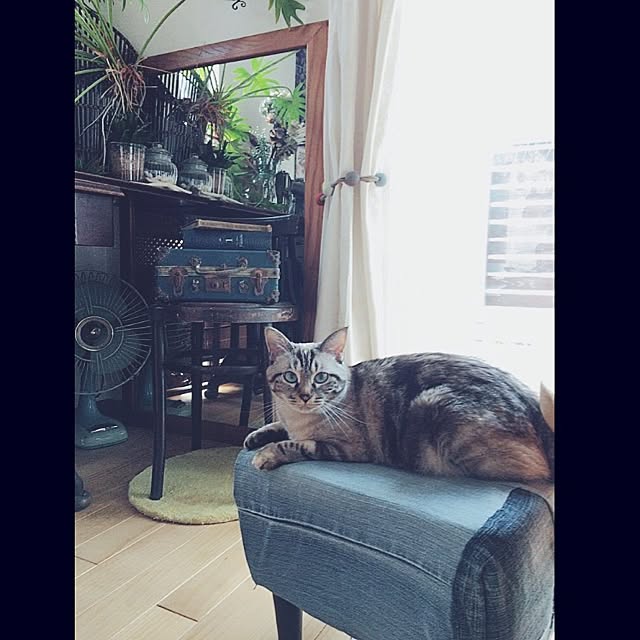 mjさんの実例写真